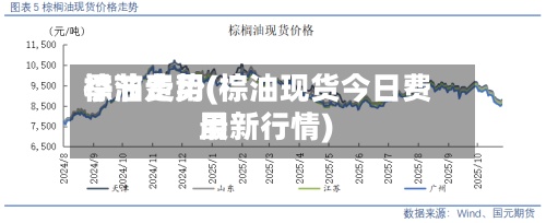 棕油费用季节走势(棕油现货今日费用最新行情)-第2张图片