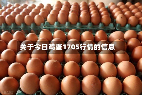 关于今日鸡蛋1705行情的信息