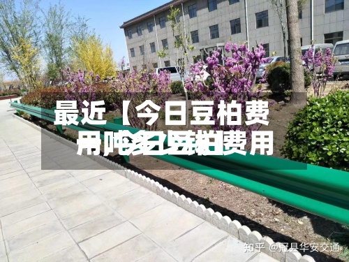 最近【今日豆柏费用一,今日豆柏费用一吨多少钱】-第2张图片