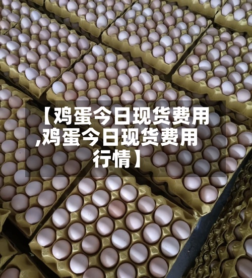 【鸡蛋今日现货费用,鸡蛋今日现货费用行情】-第2张图片
