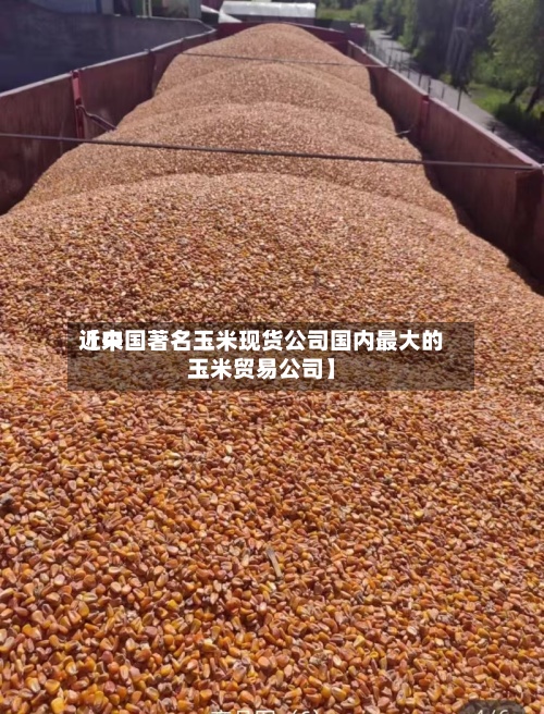 近来【中国著名玉米现货公司国内最大的玉米贸易公司】-第2张图片