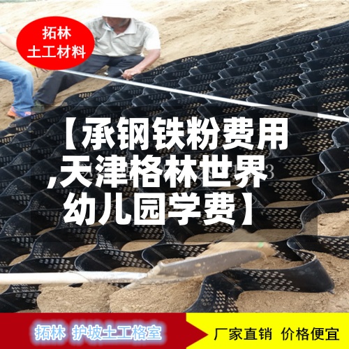 【承钢铁粉费用,天津格林世界幼儿园学费】